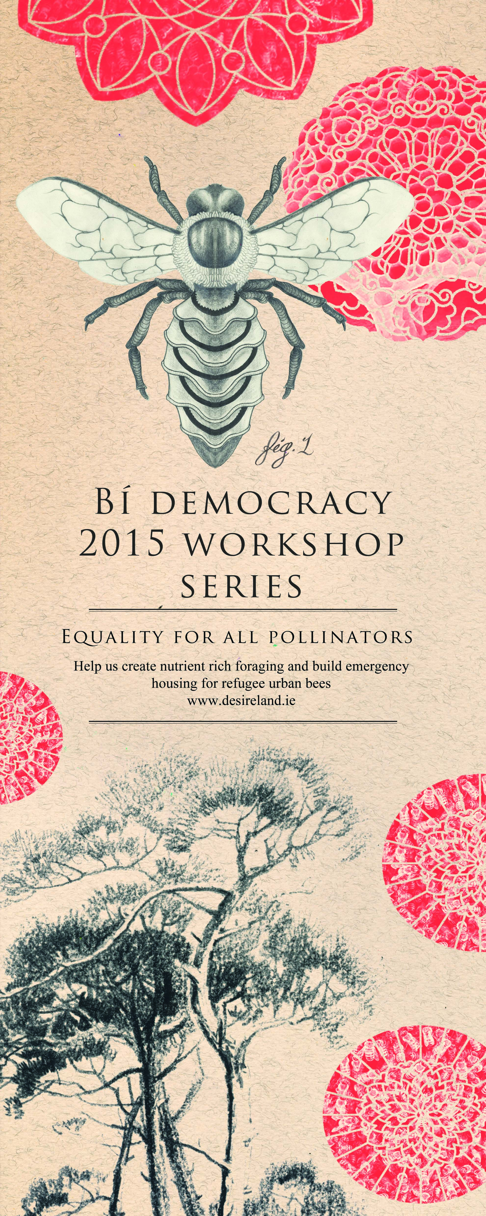 Bí-democracy-workshops